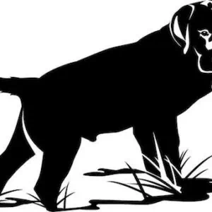 Wildrose Kennels - Puppy Deposit (TX)